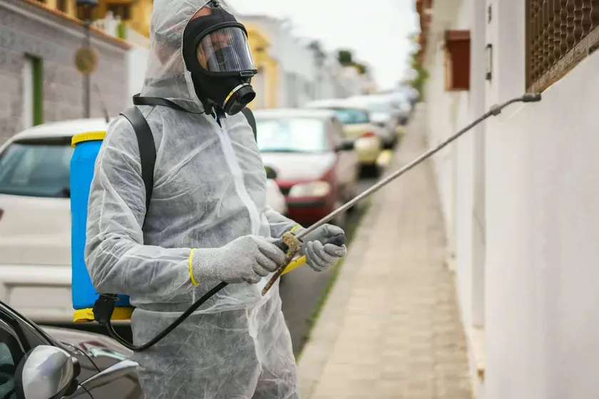 Tratamiento de hormigas en Viladecans — BioPest